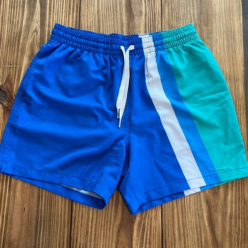 Chubbies 5.5" Swim Shorts